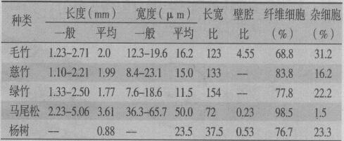 表1  几种竹材与常用木材纤维形态对比